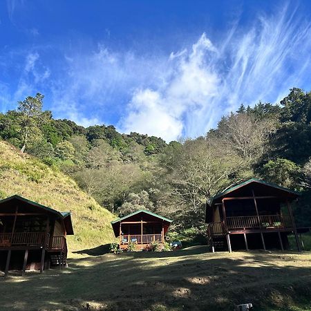 Entre Arboles Lodge San Gerardo de Dota Exterior foto