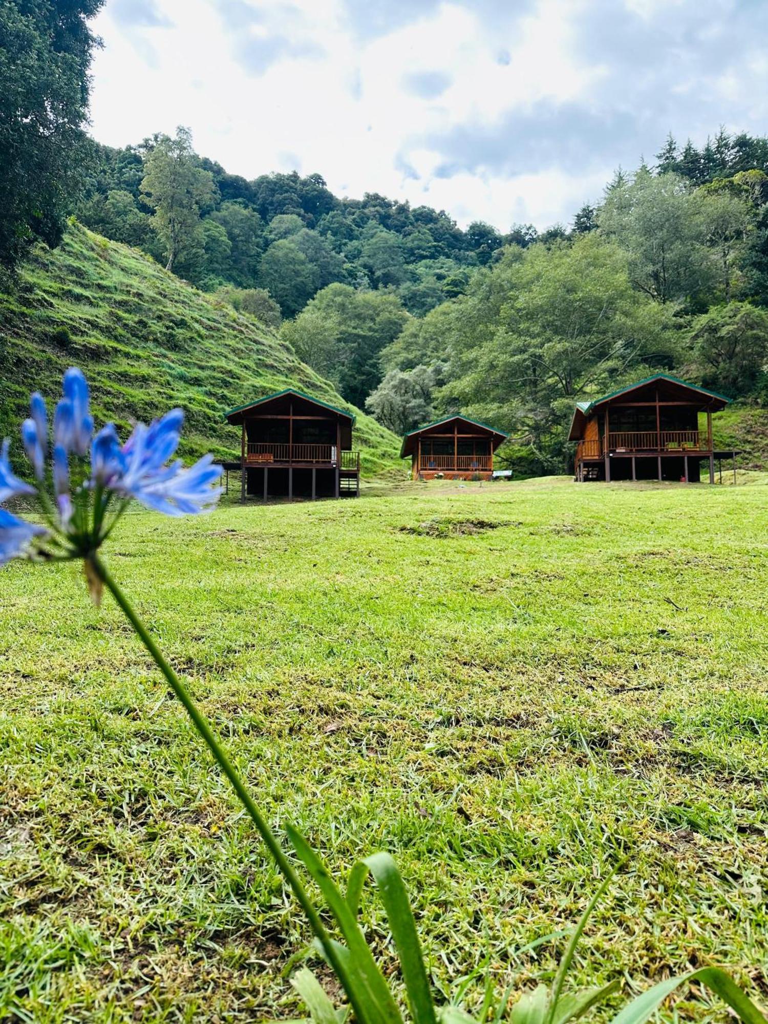 Entre Arboles Lodge San Gerardo de Dota Exterior foto