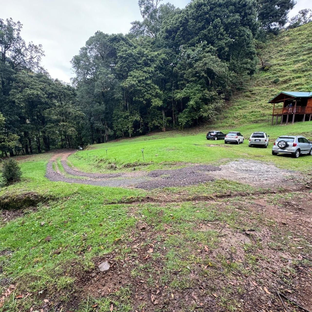 Entre Arboles Lodge San Gerardo de Dota Exterior foto
