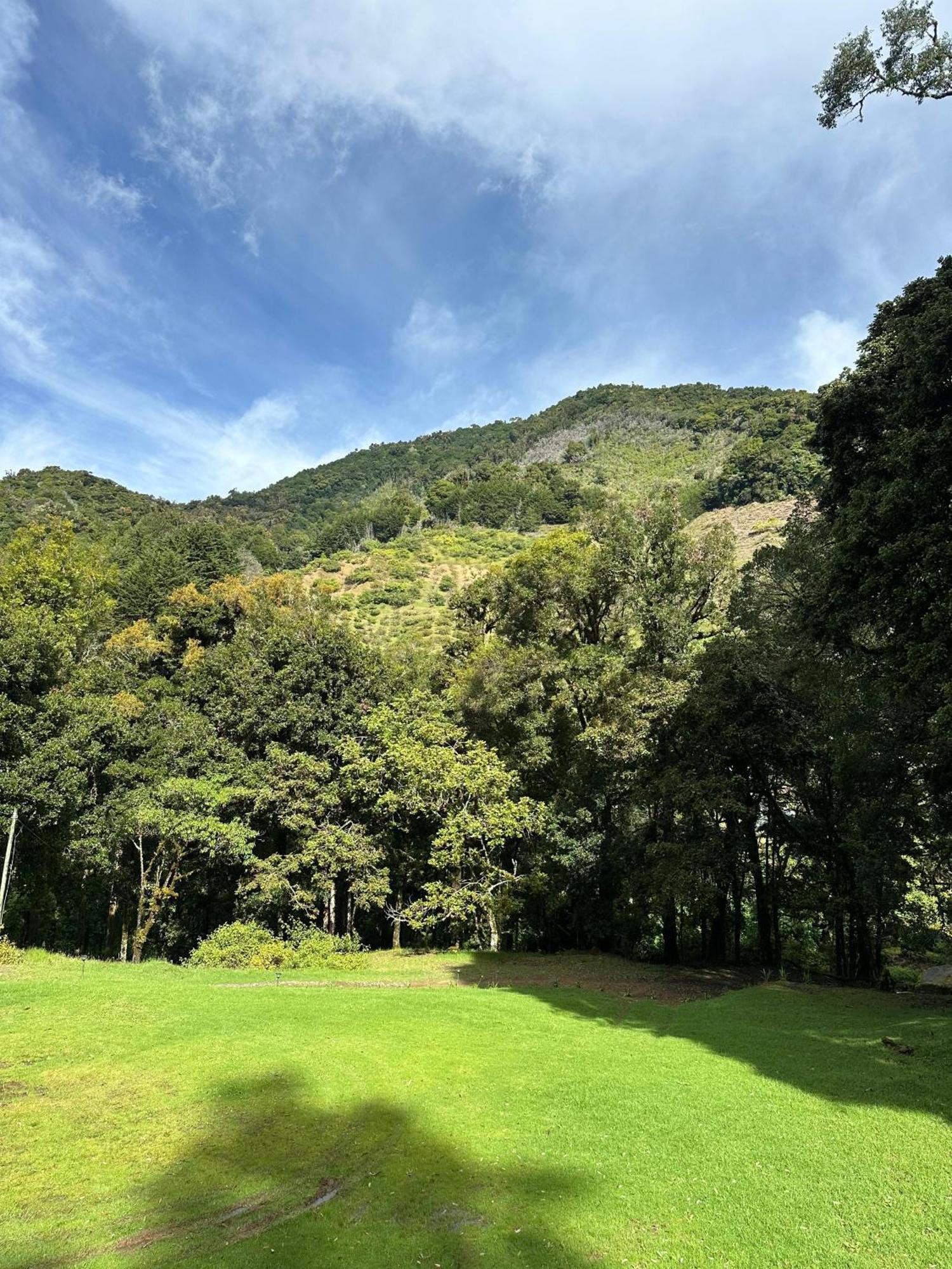 Entre Arboles Lodge San Gerardo de Dota Exterior foto