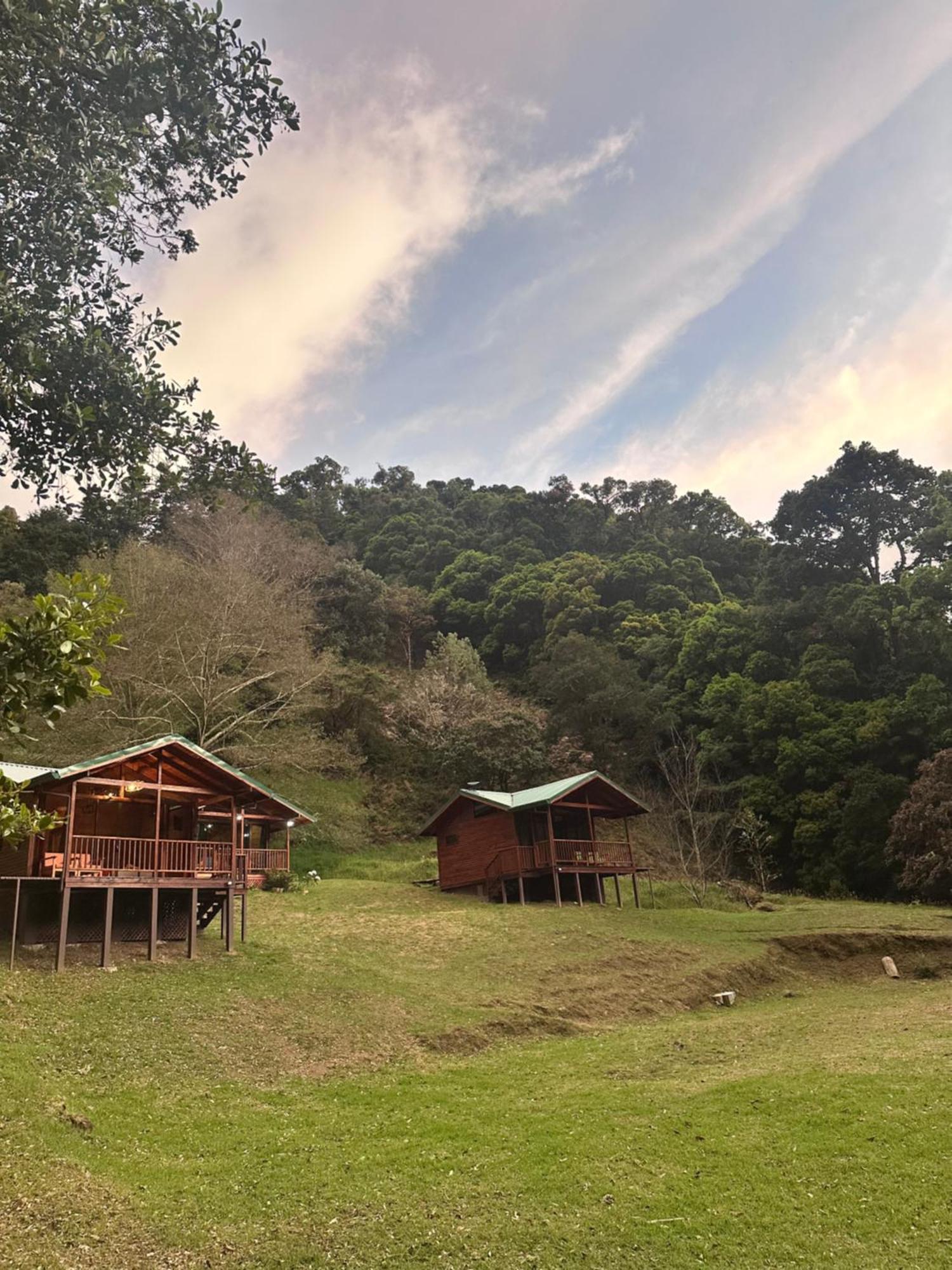 Entre Arboles Lodge San Gerardo de Dota Exterior foto