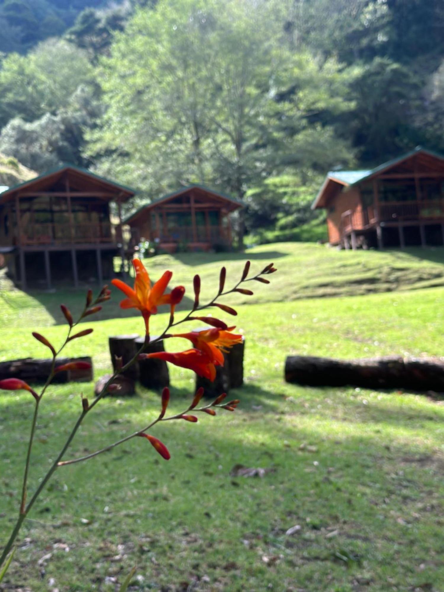 Entre Arboles Lodge San Gerardo de Dota Exterior foto