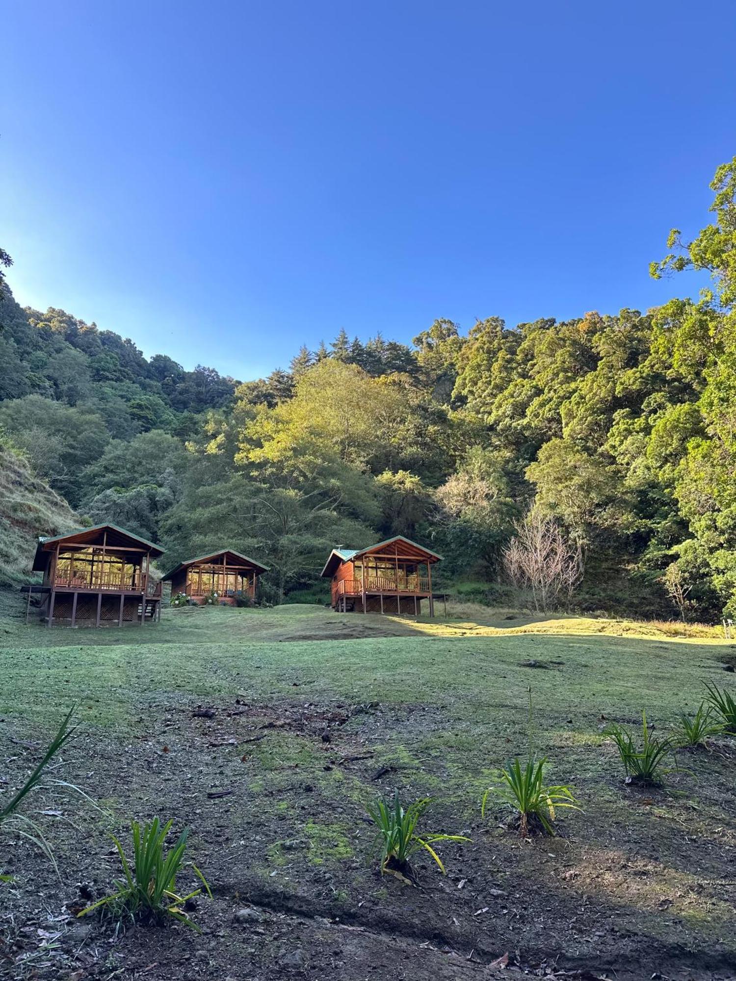 Entre Arboles Lodge San Gerardo de Dota Exterior foto